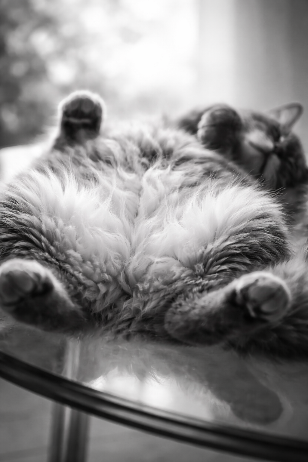 Audible temperature vibrating on skin. — Cat's Belly. Curl up, a lazy cat wrapped in body heat.