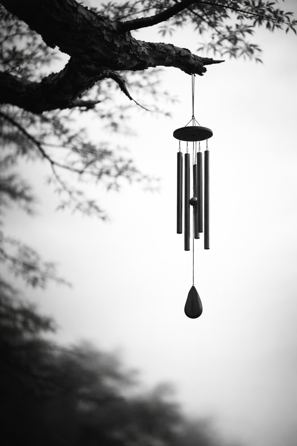 Listen to the wind, place soul in void. — Free Roam. Ditch the map, drift to the unknown.