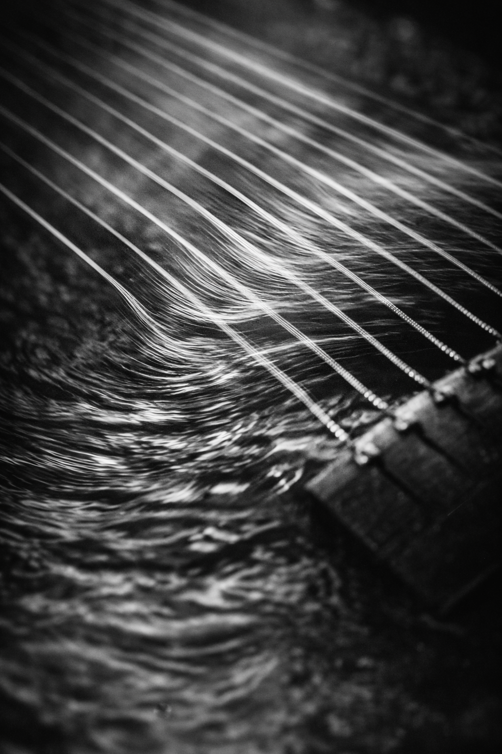 Aimless roaming is an arrival itself. — Free Roam. Ditch the map, drift to the unknown.